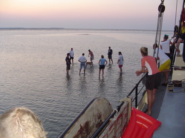 2004Zeilkamp 156.jpg